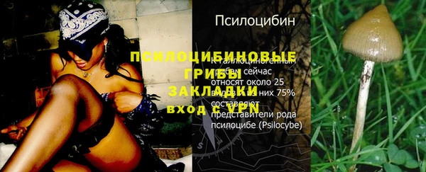 СК Каменногорск