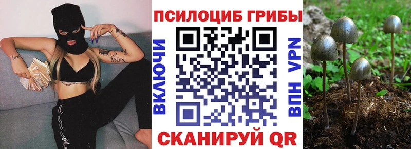 гидра зеркало  Ленинск-Кузнецкий  Псилоцибиновые грибы GOLDEN TEACHER  сколько стоит 