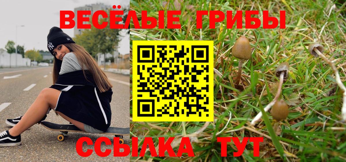 Ленинск-Кузнецкий  Галлюциногенные грибы ЛСД  Вход с VPN 